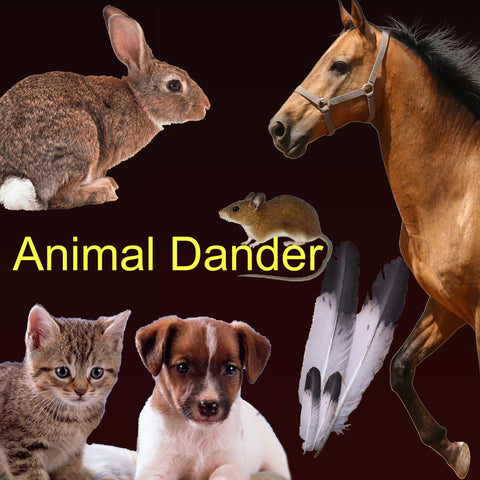 Animal Dander Extracts (5ml) For Diagnostic Use Only, staring at: